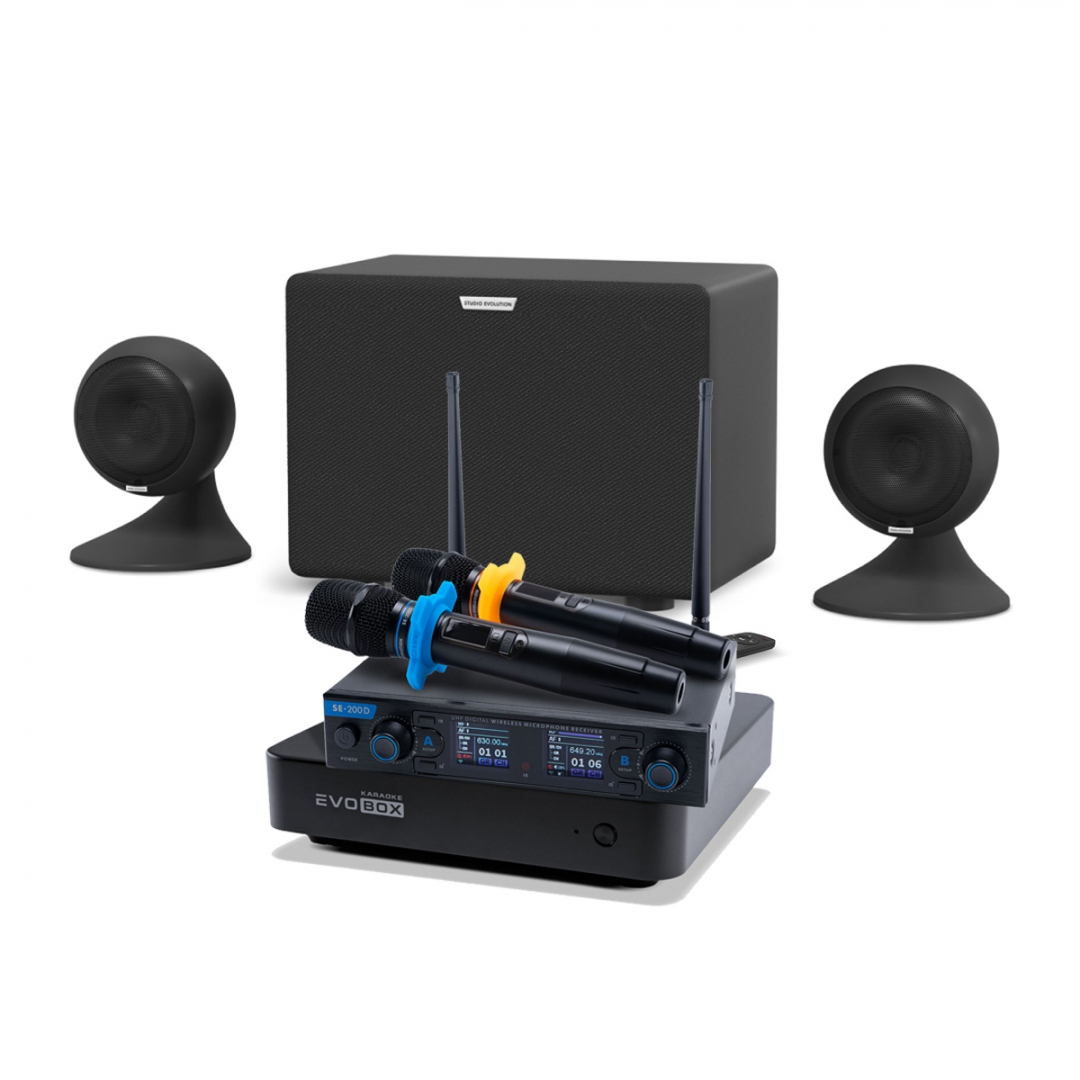 караоке-комплект EVOBOX + EvoSound Sphere 2.1 в Уссурийске
