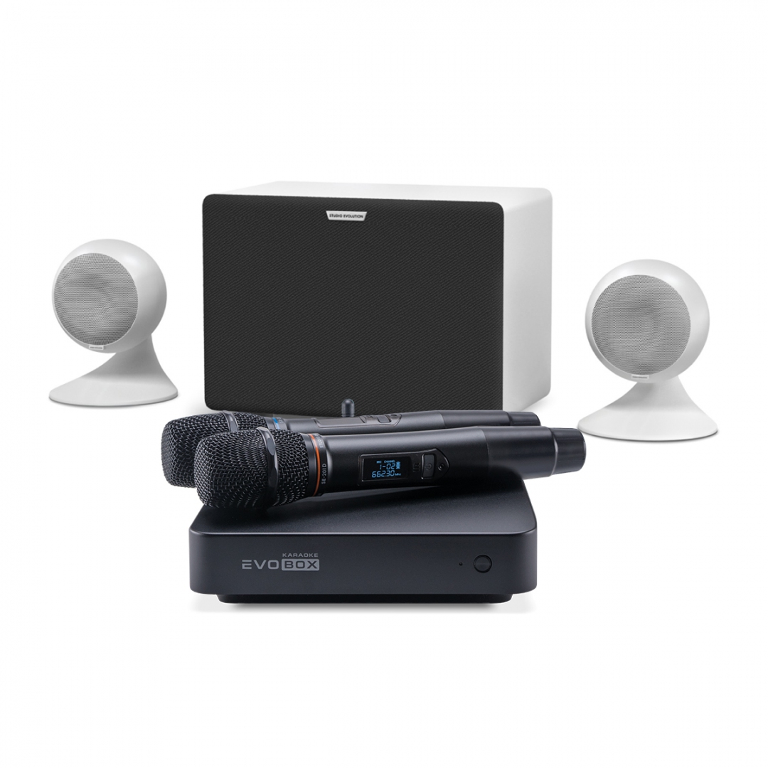 караоке-комплект EVOBOX Classic + EvoSound Sphere 2.1 в Уссурийске