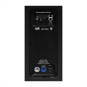 Активная акустическая система AST-310A в Уссурийске