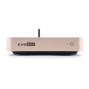 EVOBOX Classic караоке-система для дома в Уссурийске