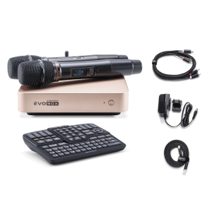 EVOBOX Classic караоке-система для дома в Уссурийске