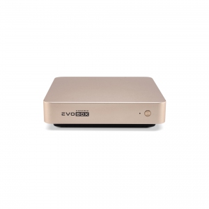 EVOBOX с микрофонами в Уссурийске